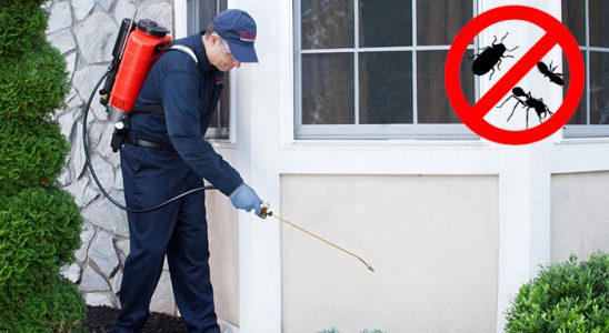 Çaycuma Böcek İlaçlama böcek ilaçlama ve haşere kontrolü — ilaclama-tr.com